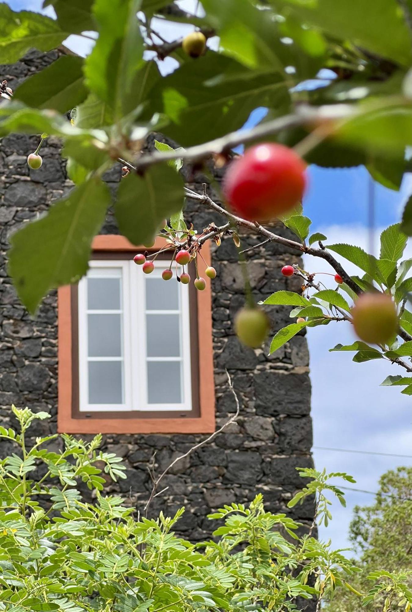Cozy Rural House Las Guindas, El Hierro Erese Eksteriør billede