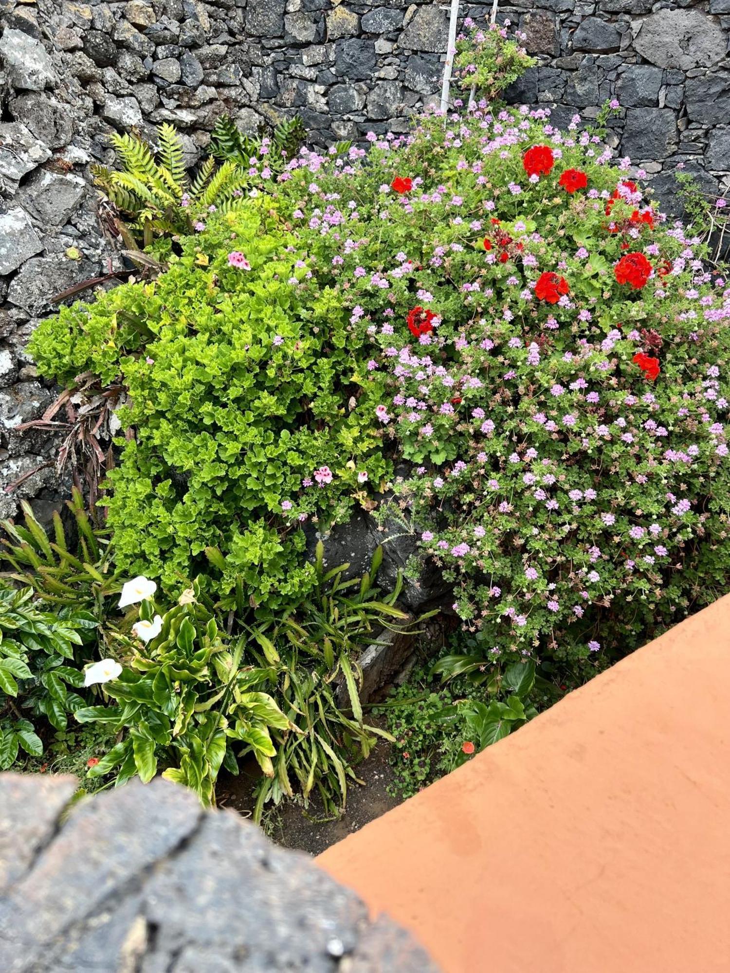 Cozy Rural House Las Guindas, El Hierro Erese Eksteriør billede